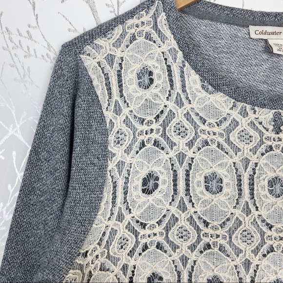 COLDWATER CREEK Gray Knit Lace Overlay Knit Pullover Top 2XL - Picture 3 of 11